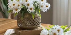 فواید بابونه برای معده و مضرات بابونه برای آقایون