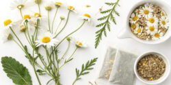 خواص بابونه برای کیست تخمدان