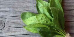 خواص اسفناج با تخمه مرغ