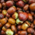 مضرات عناب نارس